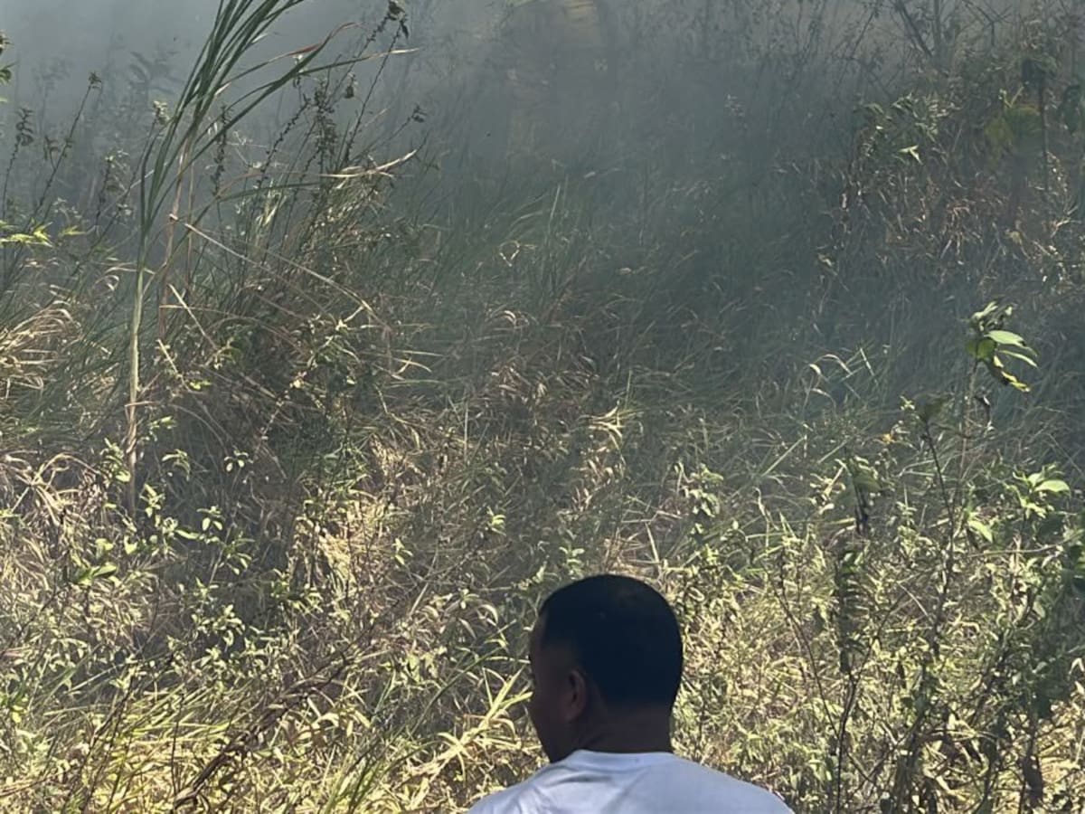 Cuerpo de Bomberos y Gestión del Riesgo atendieron incendios forestales en el municipio de Bello