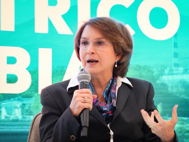 Julia Miranda Londoño, representante a la Cámara por el Nuevo Liberalismo. | Foto: Caracol Radio