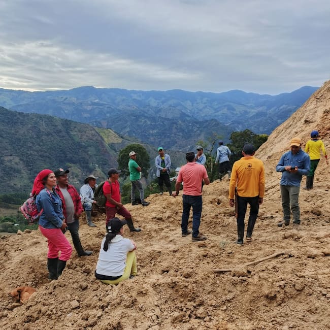 Pérdidas en el sector agrícola, entre ellas más de 6.000 árboles de café. Foto alcaldía Santa María.