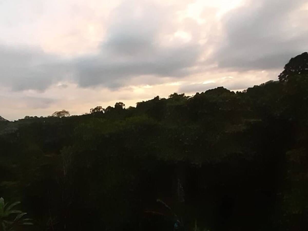 Las noticias más importantes de Armenia y el Quindío, martes 28 de julio