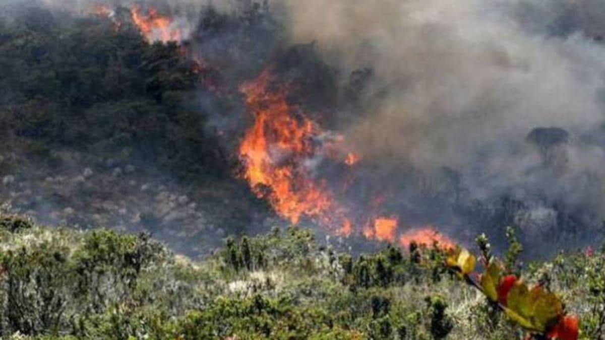 Aumentó a 101 el reporte de incendios y quemas durante este mes de enero en Risaralda