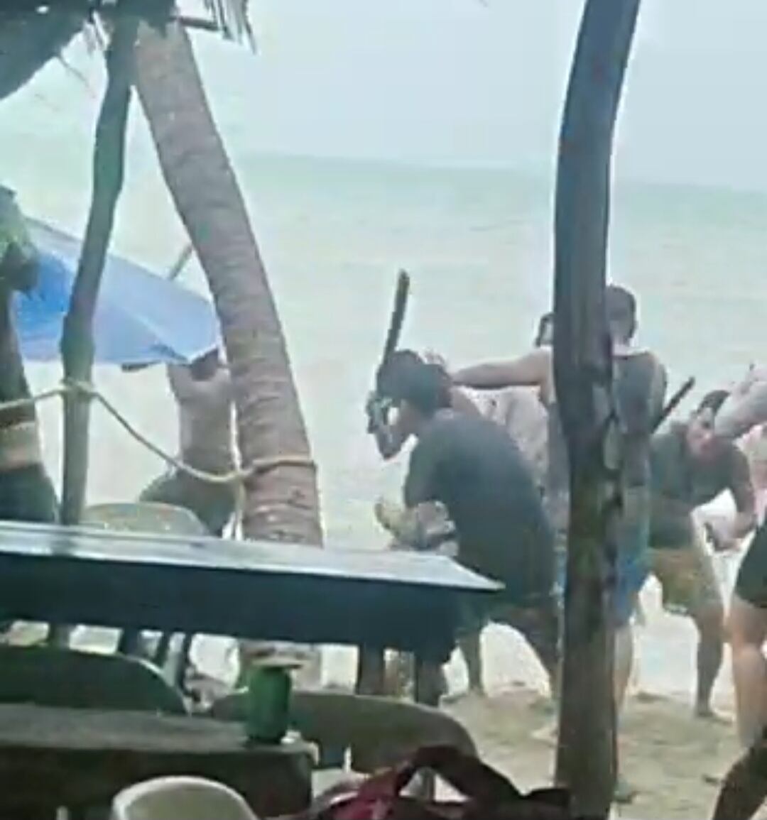 Foto tomada de Internet