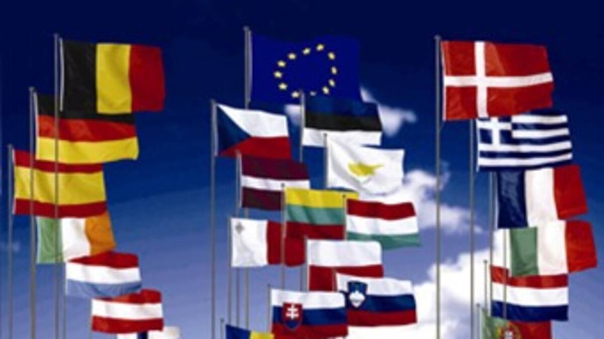 División en la Unión Europea para salir de la crisis económica