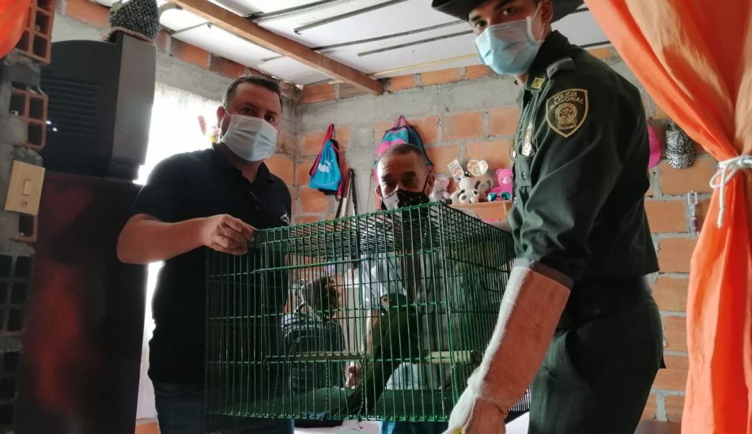 Foto: Enviada desde la Gobernación de Caldas.