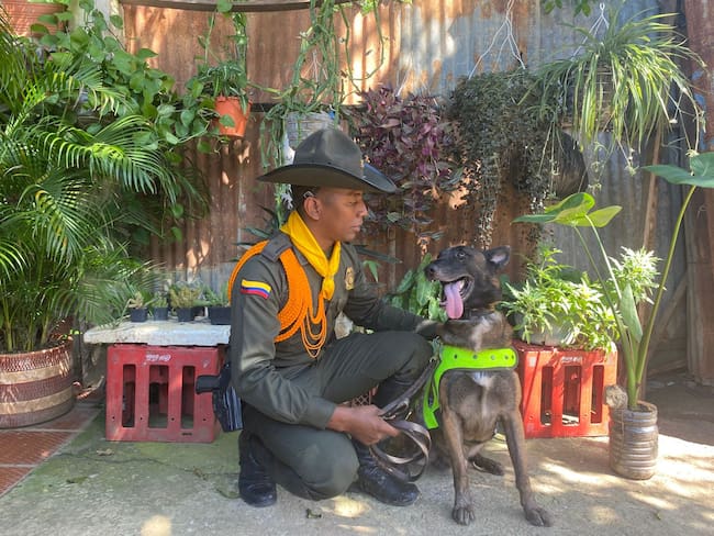 Oker: El héroe canino que protege la Navidad de los niños de Bolívar