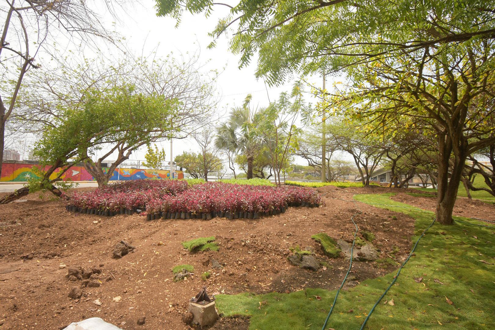 Alcaldía de Cartagena