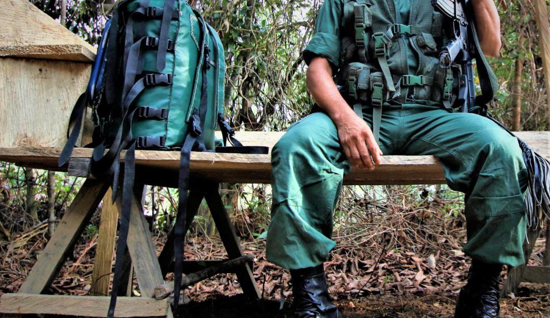 Imagen de referencia