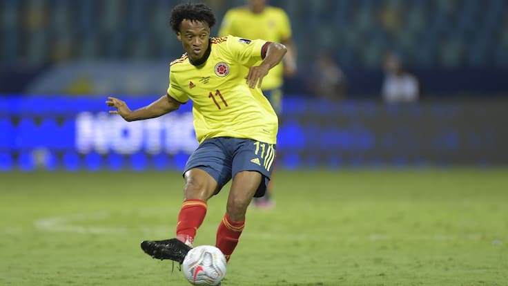 La inestimable historia de un ser ejemplar: Cuadrado