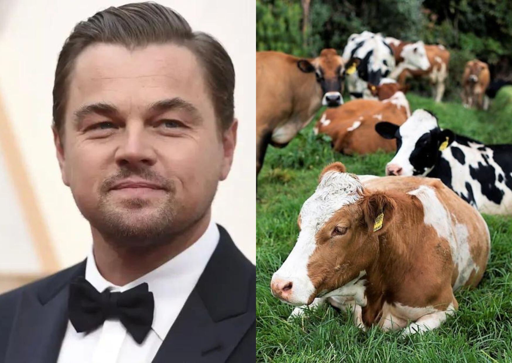 Leonardo DiCaprio señaló como ‘un paso histórico’ el proyecto de ley de ganadería sin deforestación, que está para su último debate en el Congreso de la República.