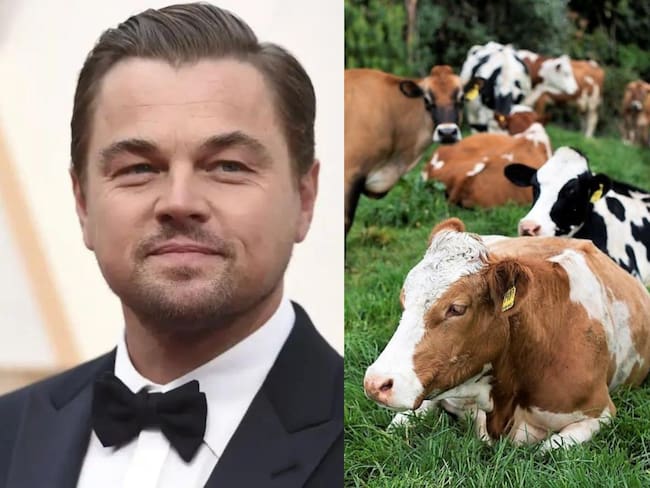 Leonardo DiCaprio señaló como ‘un paso histórico’ el proyecto de ley de ganadería sin deforestación, que está para su último debate en el Congreso de la República.