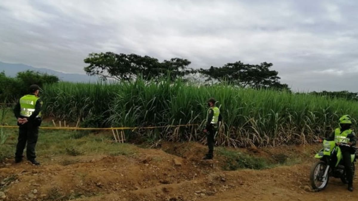 Denuncian complicidad de ingenios para tráfico de drogas por cañaduzales
