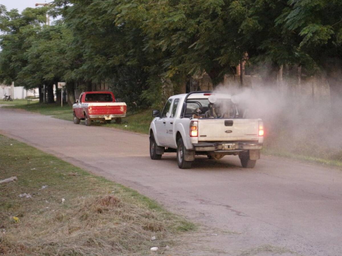 En Ibagué fumigarán contra el mosquito transmisor del dengue