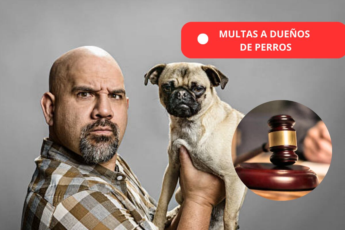 MULTAS A DUEÑOS  DE PERROS - Getty Images