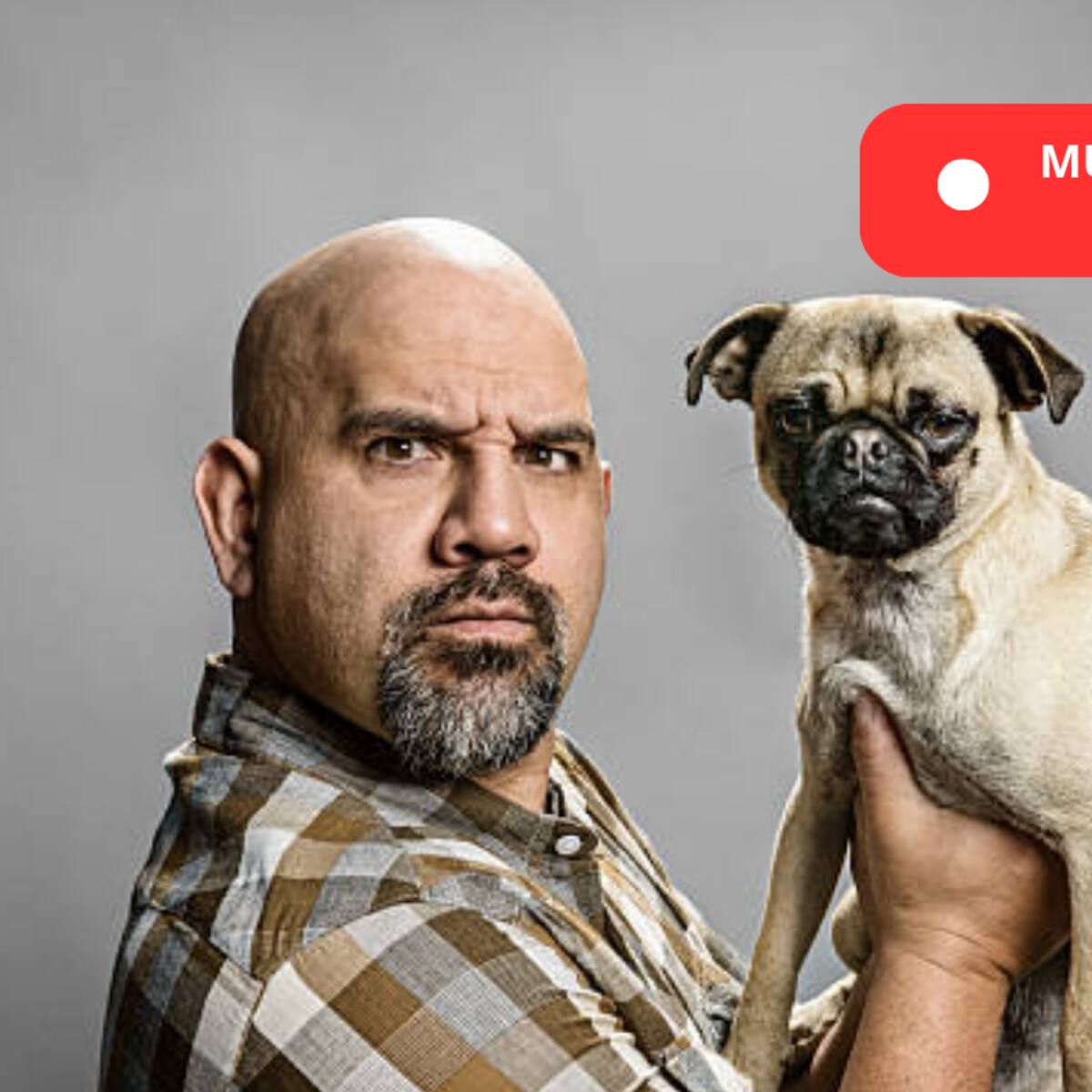 Multas de 4 SMDLV si tiene perros y no cumple con estas normas de propiedad horizontal