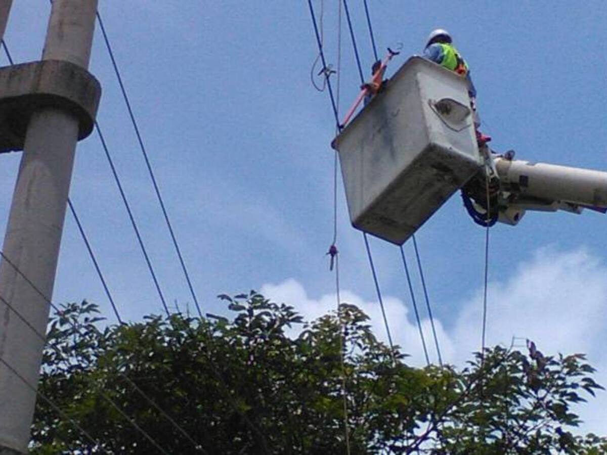 Gobierno debe suspender giros del Prone a Electricaribe: Mauricio Gómez