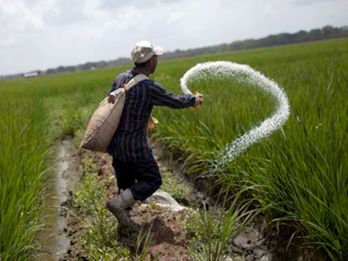 Arroceros del Huila en incertidumbre ante posibles movilizaciones por acuerdos con el Gobierno