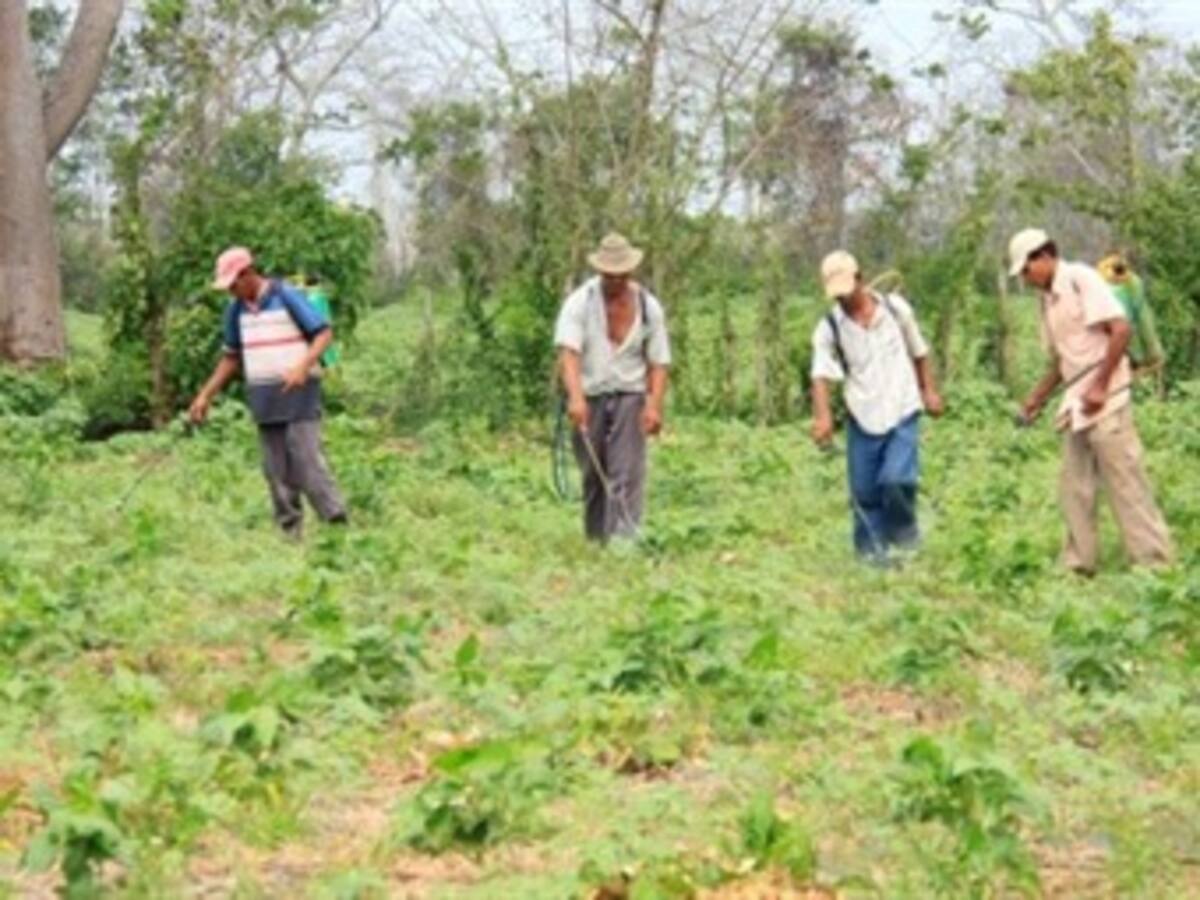 Farc se apropiaron de más de 90 mil hectáreas en tres departamentos: Santos
