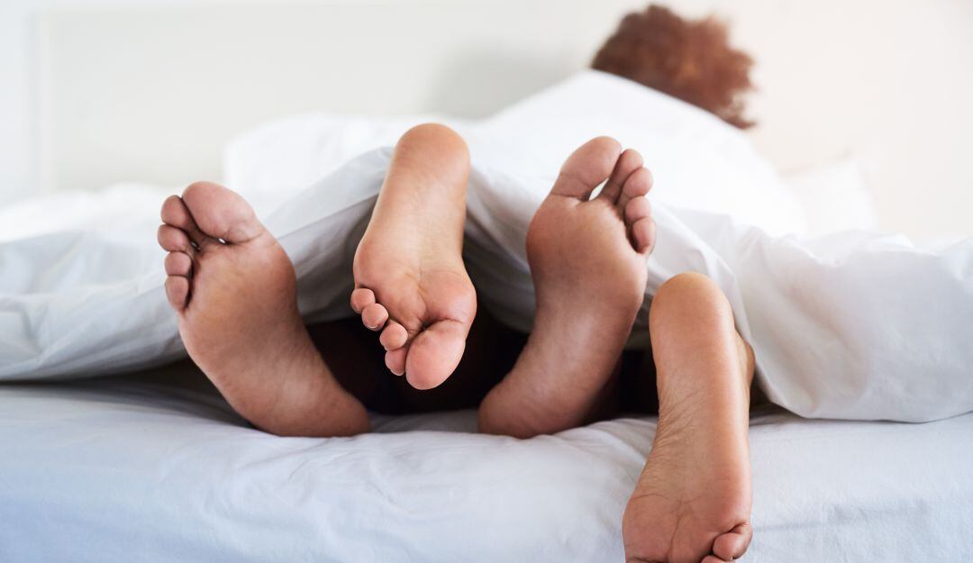 Imagen de referencia. 