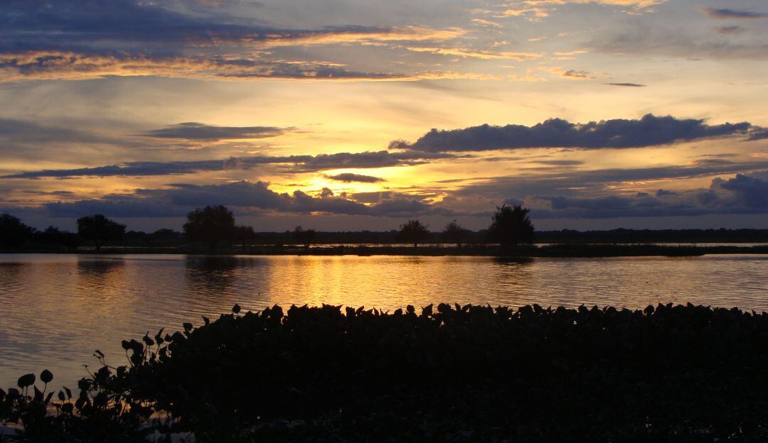 Imagen de los Llanos Orientales al atardecer