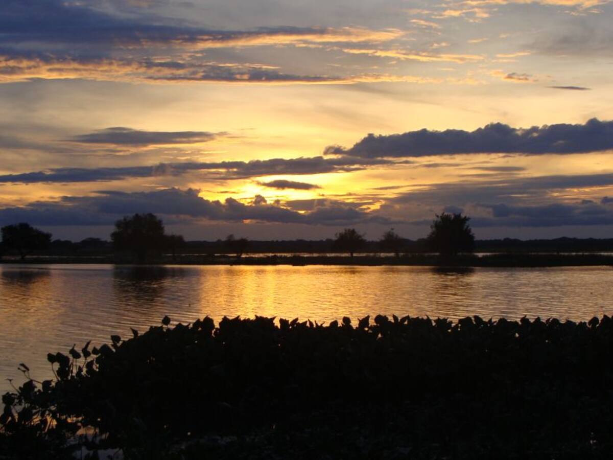 La vida puede cambiar las reglas de juego