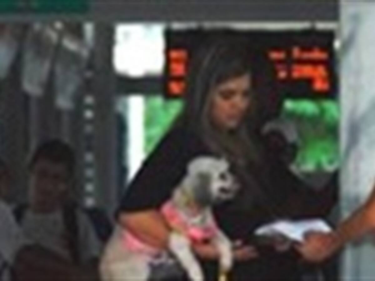 Estas son las condiciones para transportar mascotas en Transmilenio