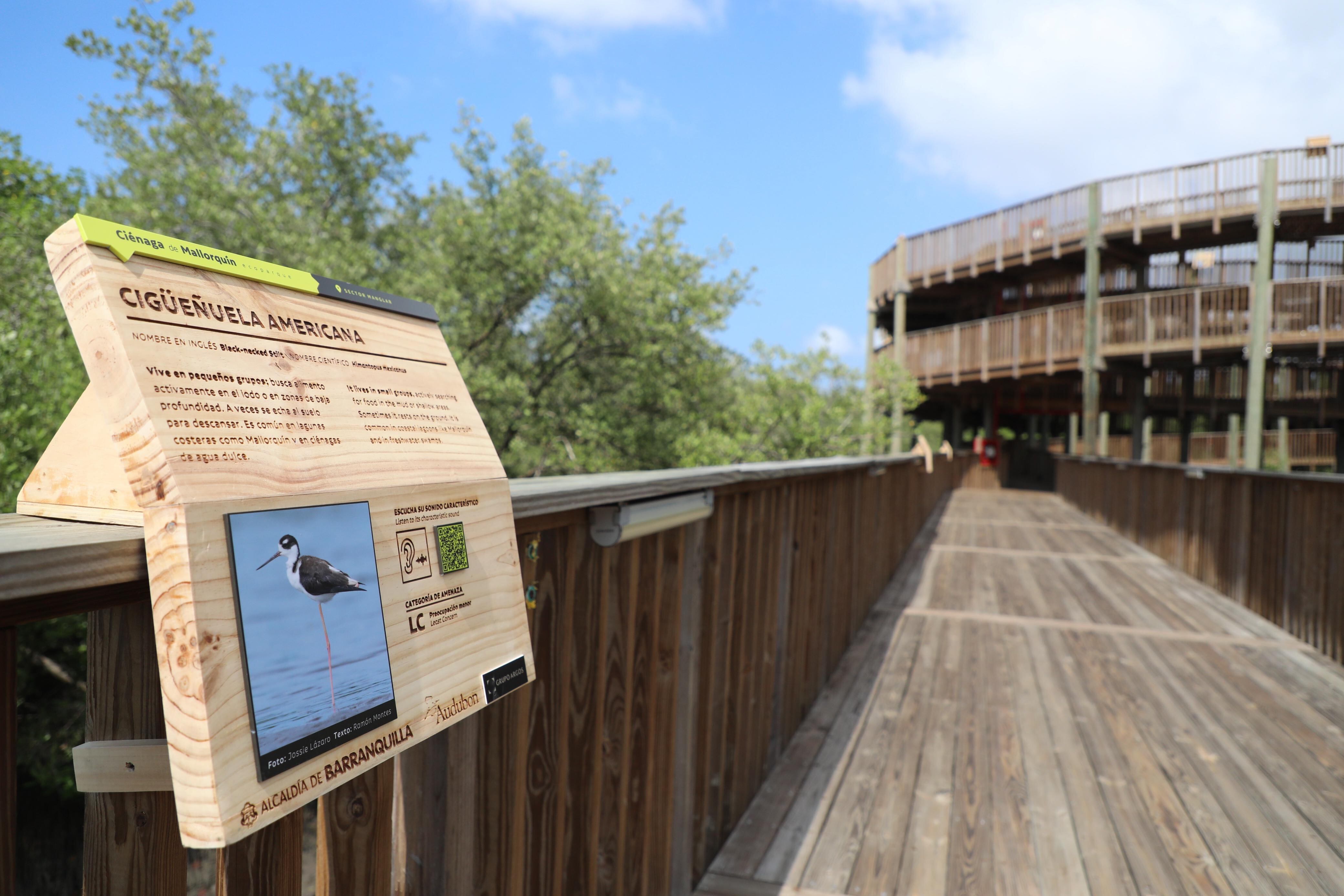 Ecoparque Ciénaga de Mallorquín. Foto: Alcaldía de Barranquilla.
