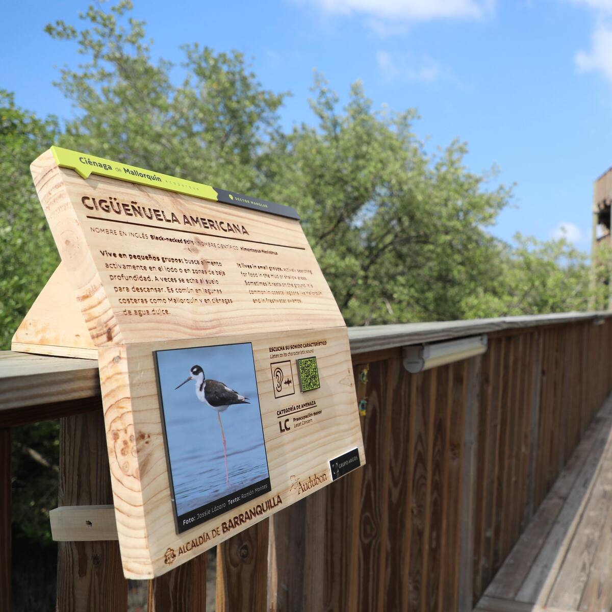 ¡Nuevo plan en el ecoparque Mallorquín!: ahora cuenta con la primera galería educativa de aves
