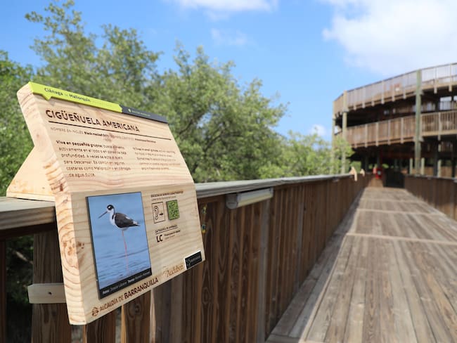 Ecoparque Ciénaga de Mallorquín. Foto: Alcaldía de Barranquilla.