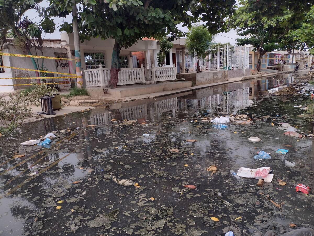 Concejo pidió al Dadis acciones inmediatas para frenar incremento del dengue