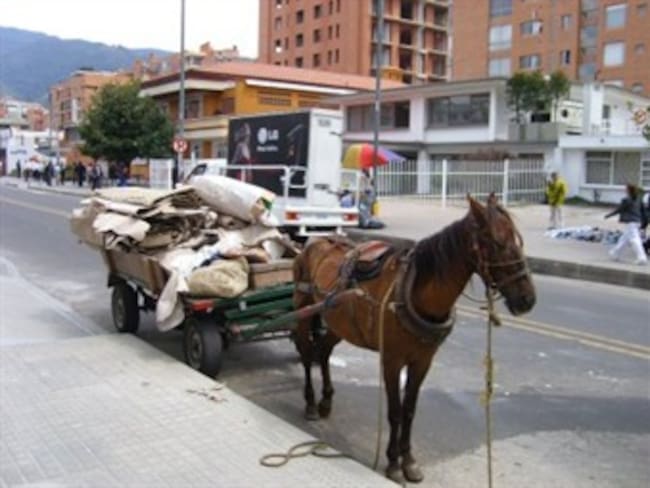 Palomo: el caballo número 2.000 que dejó de trabajar en Bogotá