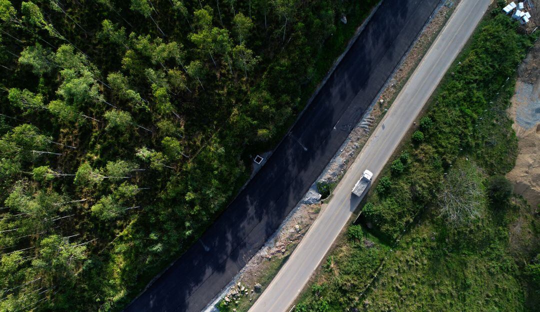 Imagen de referencia.