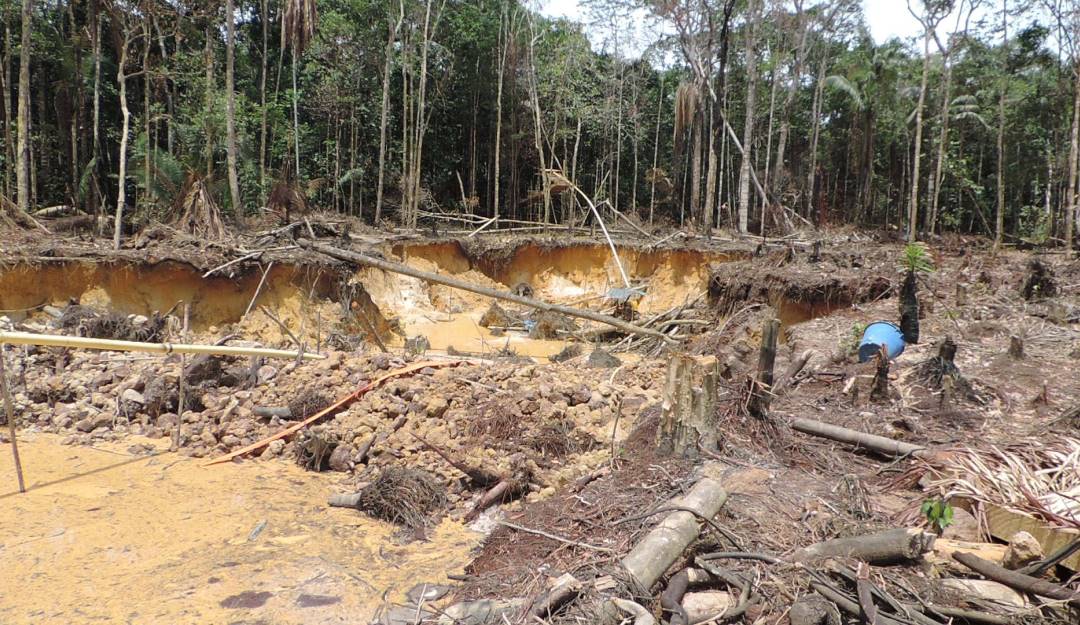 Deforestación en Colombia / Cortesía Colprensa