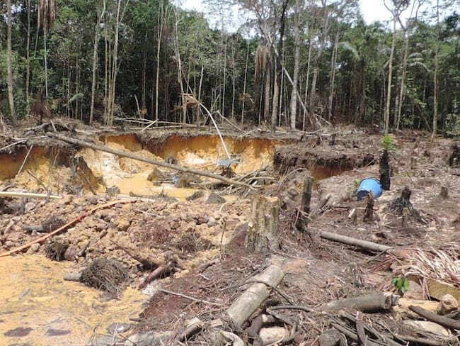 Deforestación en Colombia / Cortesía Colprensa