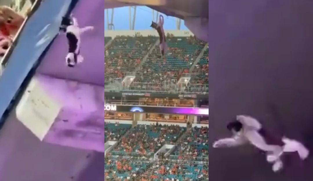 Gato salió ileso a una caída al vacío en el Hard Rock Stadium