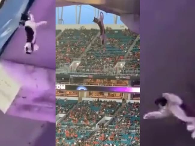 Gato salió ileso a una caída al vacío en el Hard Rock Stadium
