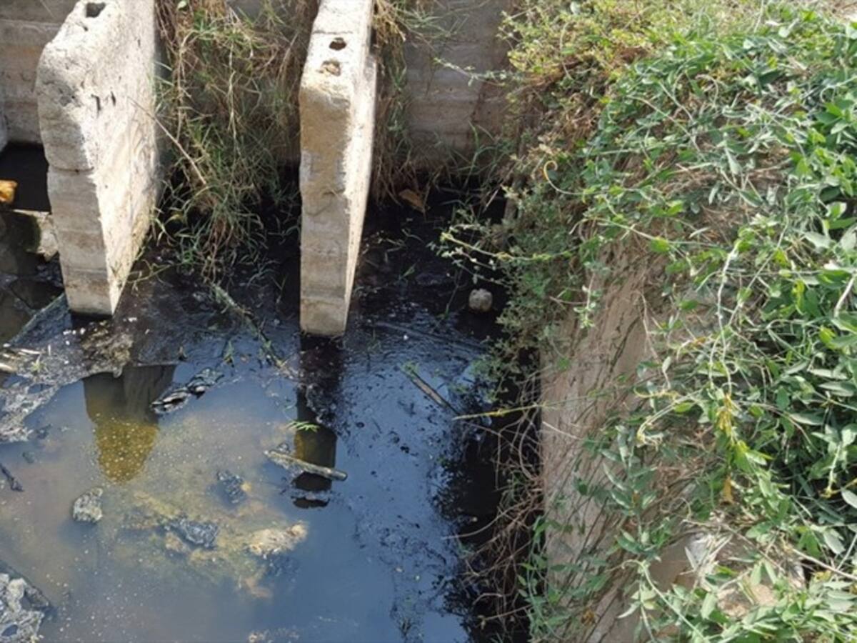 Sancionan a Alcaldía de Cartagena con $6.269 millones por incumplir clausura de Henequén
