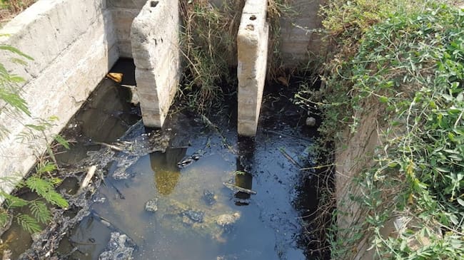 Sancionan a Alcaldía de Cartagena con $6.269 millones por incumplir con clausura de Henequén. Foto: Prensa Cardique