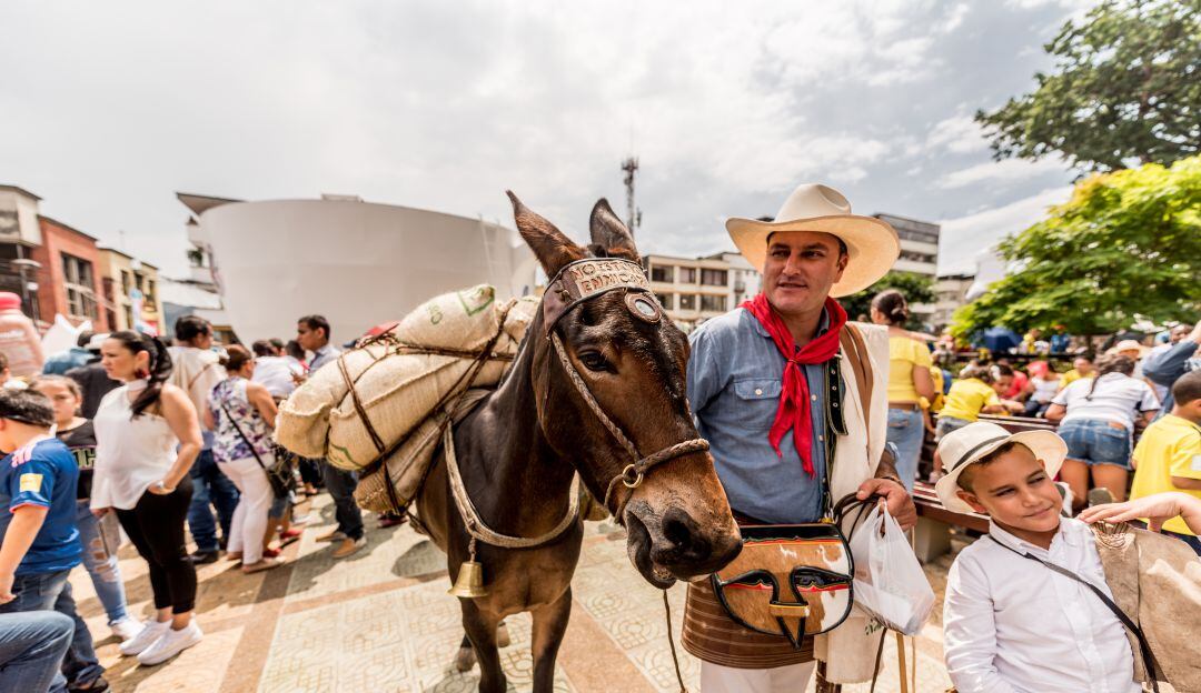 Balance de exportaciones de café