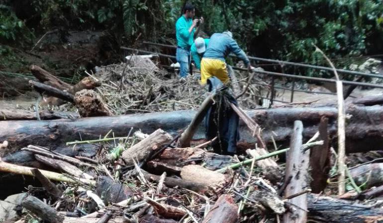 Empalizada en las bocatomas de Aquamaná en Villamaría (Caldas)