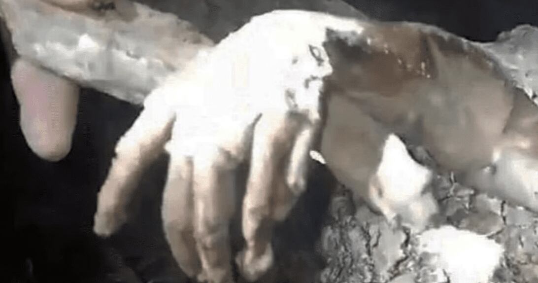 Chupacabras - Twitter