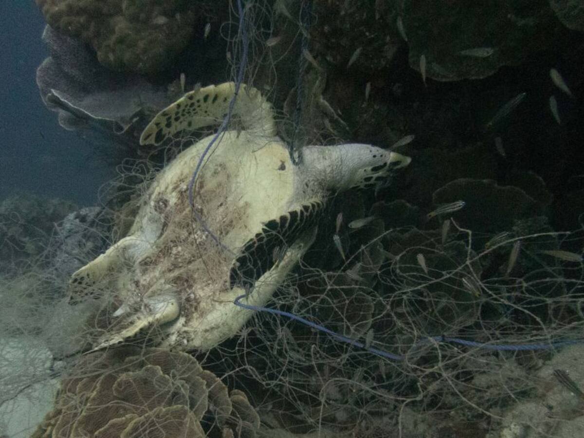 Samsung evitará que 50 toneladas de redes de pesca terminen en el mar