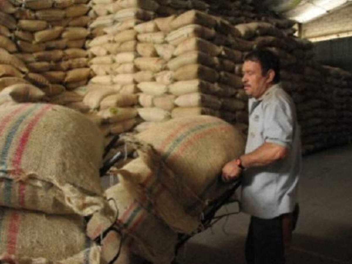 Gobierno anuncia $100 mil millones en apoyos directos a cafeteros