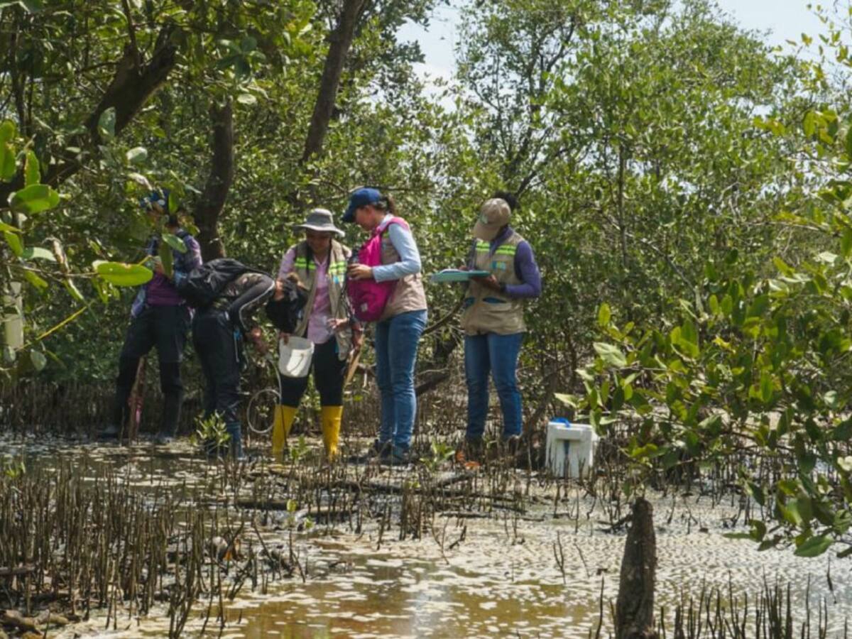 EPA Cartagena instaló Estaciones de Monitoreo de Carbono
