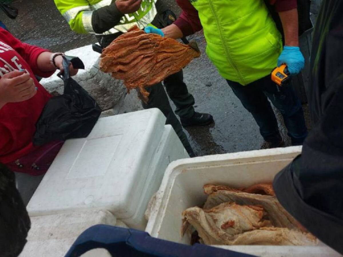 En la Galería las autoridades hallaron pescado seco en descomposición