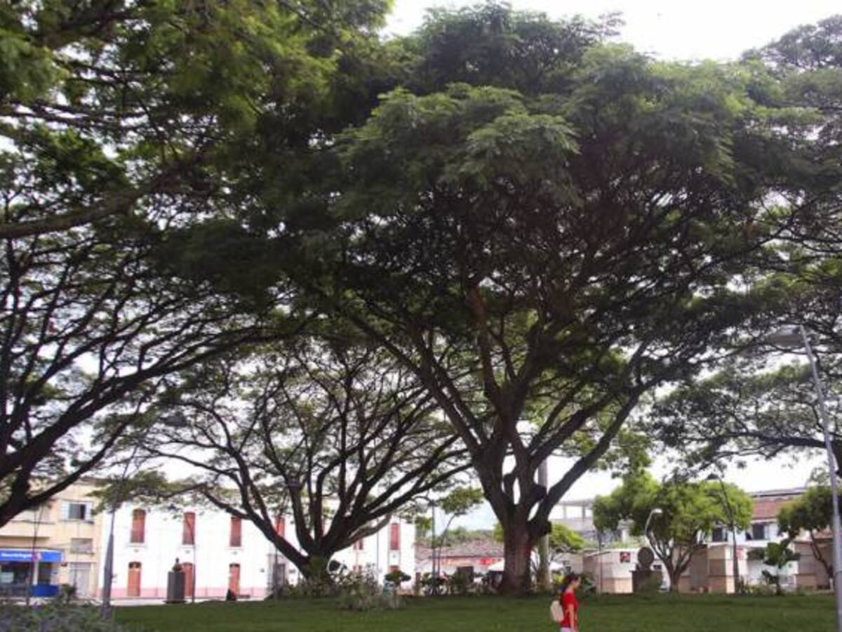 Asesinado líder campesino en Guacarí