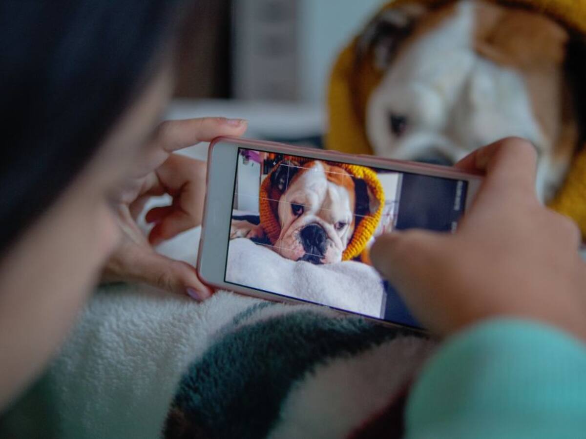 ¿Cómo recuperar fotos eliminadas del celular sin un computador?