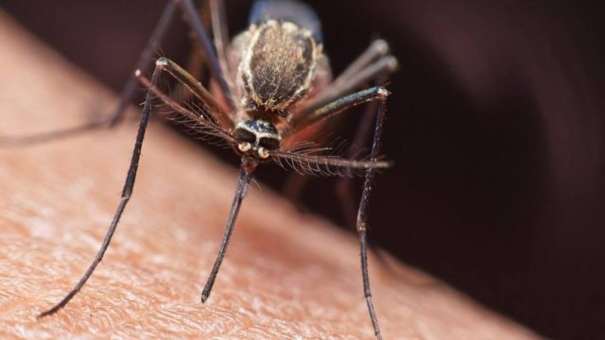 OMS aprueba segunda vacuna contra la malaria para niños