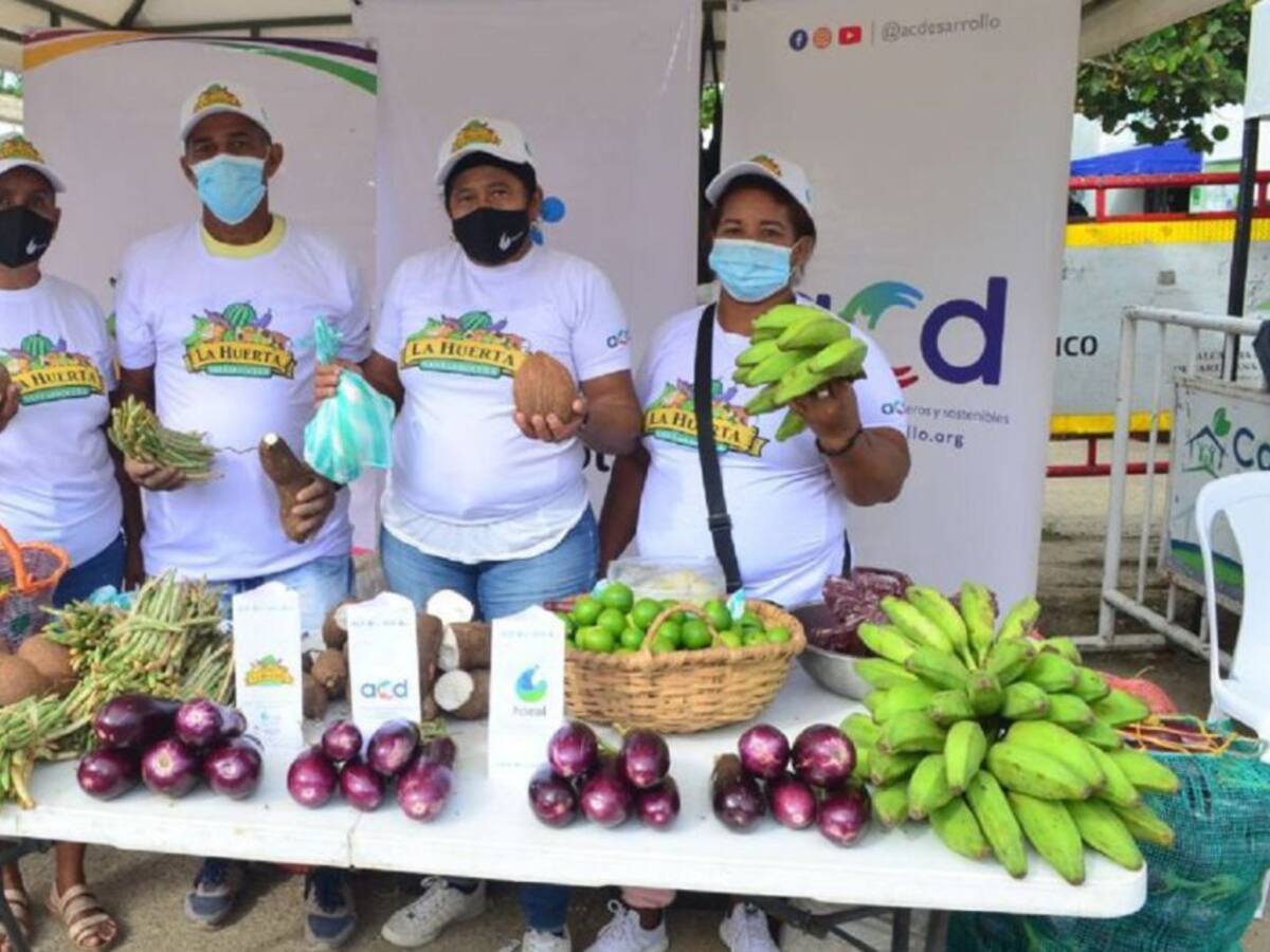 Nueve toneladas de productos vendidas en Mercado Campesino de Bicentenario