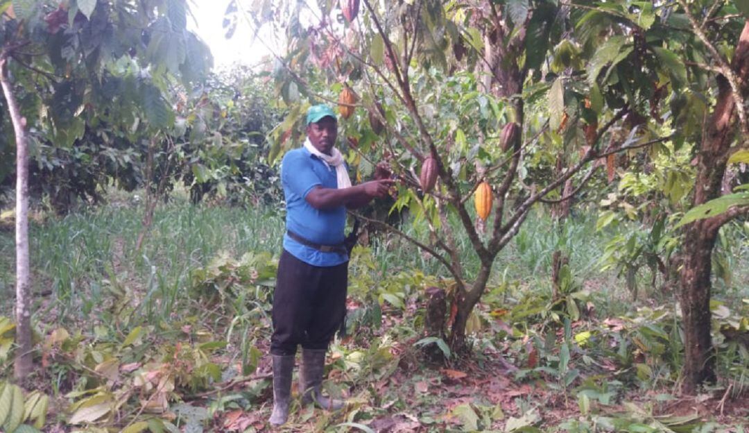 Norberto Mosquera Valderrama, campesino del municipio Medio San Juan.