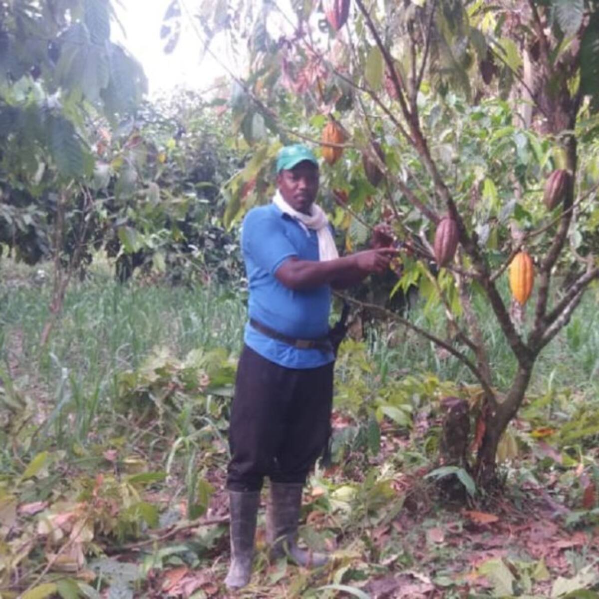 La vida del campesino chocoano es muy dura: cultivador de cacao